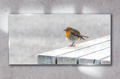 Robin on a white board Glass art print