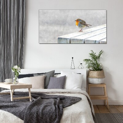 Robin on a white board Glass art print