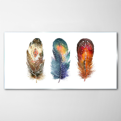 Colorful Feathers Glass art print