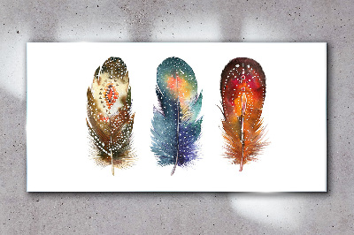 Colorful Feathers Glass art print