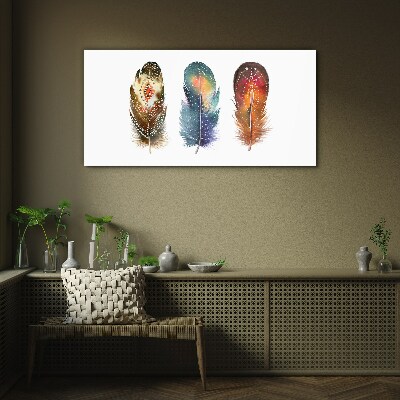 Colorful Feathers Glass art print