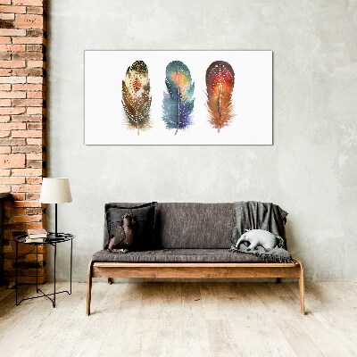 Colorful Feathers Glass art print