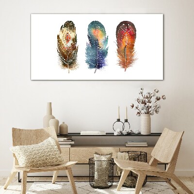 Colorful Feathers Glass art print