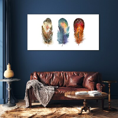 Colorful Feathers Glass art print