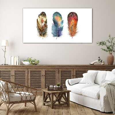 Colorful Feathers Glass art print