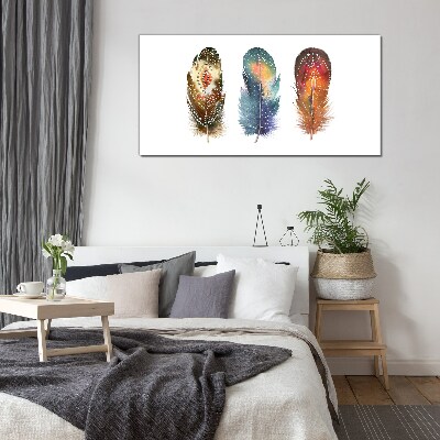 Colorful Feathers Glass art print