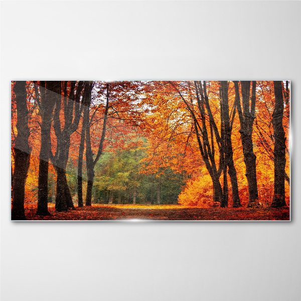 Autumn tree alley Glass art print