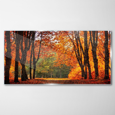 Autumn forest nature Glass Print