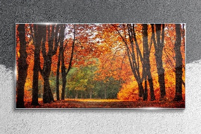 Autumn forest nature Glass Print