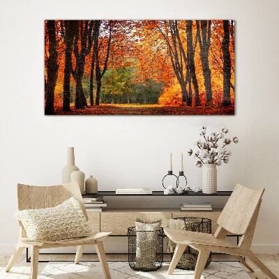 Autumn forest nature Glass Print