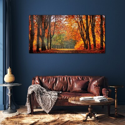 Autumn forest nature Glass Print