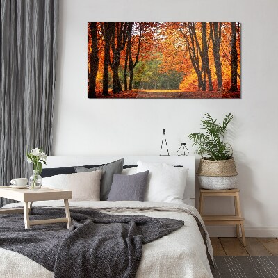 Autumn forest nature Glass Print