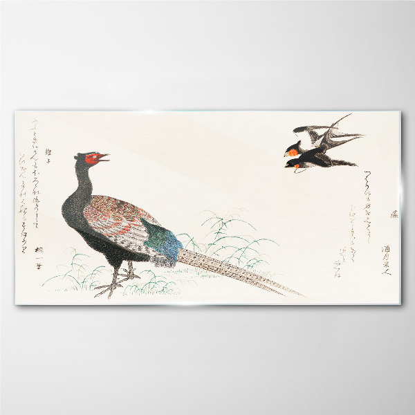 Peacock dance in spring landscape Glass art print