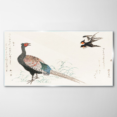 Peacock dance in spring landscape Glass art print