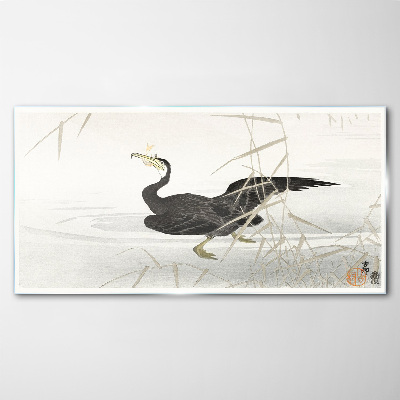 Black cormorant among the reeds Glass art print