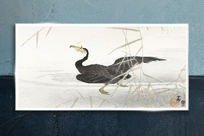 Black cormorant among the reeds Glass art print