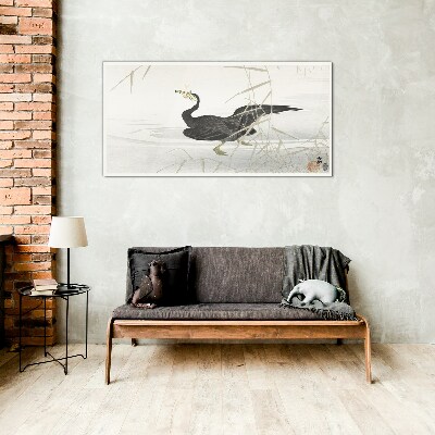 Black cormorant among the reeds Glass art print
