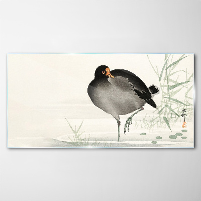 Bird on the grass background Glass art print