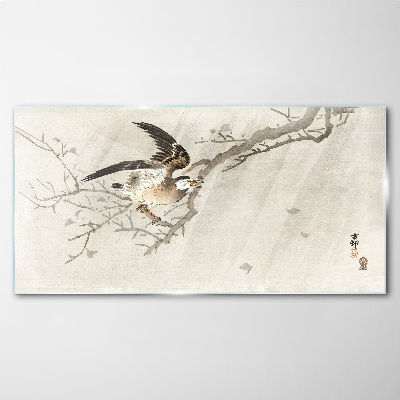 Bird on a branch Glass art print