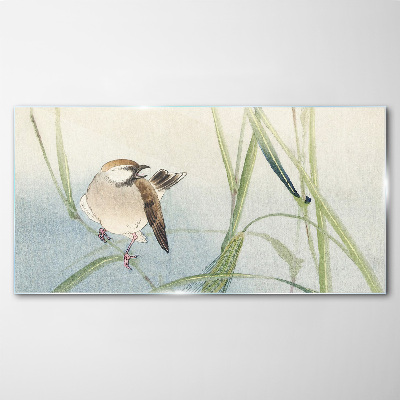 A titmouse against the grass Wall art on glass