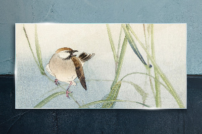 A titmouse against the grass Wall art on glass