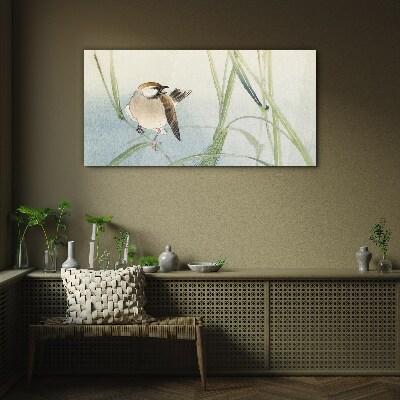 Animal bird sparrow Glass Wall Art