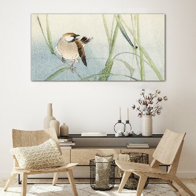 Animal bird sparrow Glass Wall Art