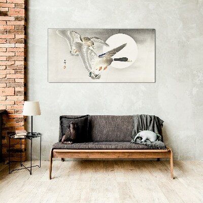 Animals birds ducks Glass Wall Art