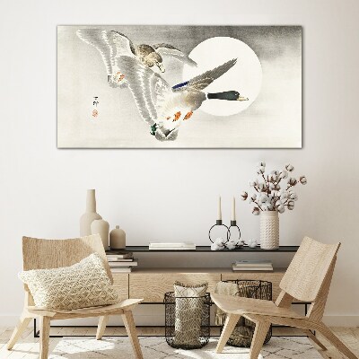 Animals birds ducks Glass Wall Art