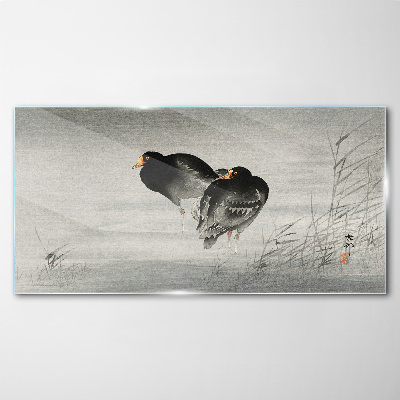Two ducks on calm water Glass art print