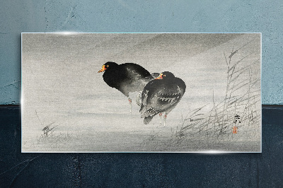 Two ducks on calm water Glass art print