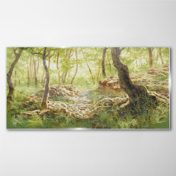 Forest nature rocks Glass Wall Art