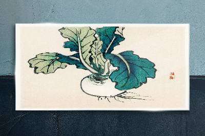 Green radish on a light background Glass art print