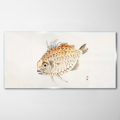 Gold fish on white background Glass art print