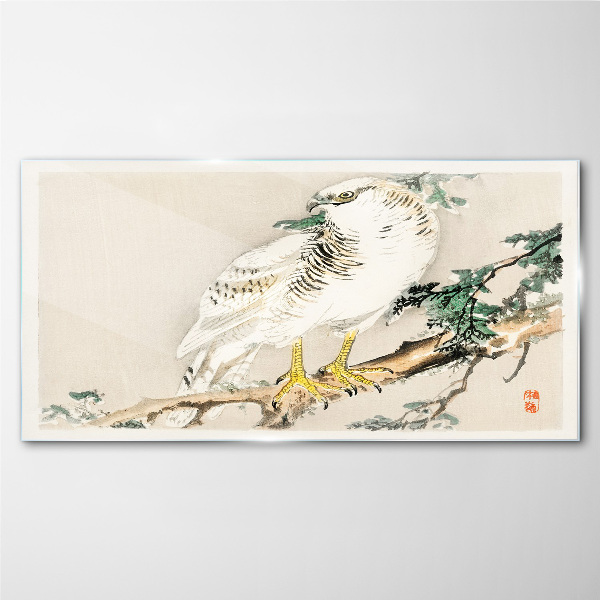 Falcon on a branch Glass art print