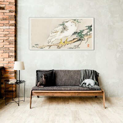 Falcon on a branch Glass art print