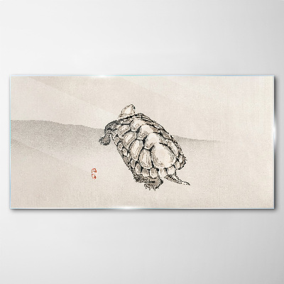 Turtle on a minimalist background Glass art print
