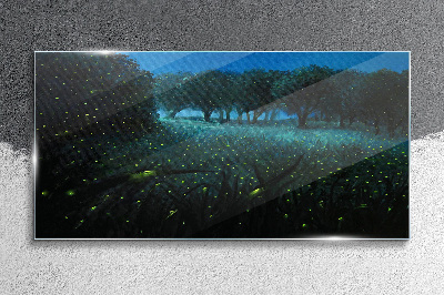 Forest night fireflies Glass Print