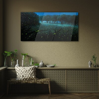 Forest night fireflies Glass Print