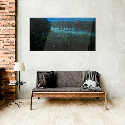 Night lights in the forest Wall art on glass