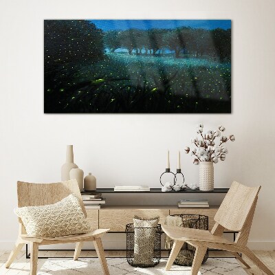 Forest night fireflies Glass Print