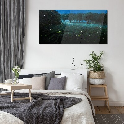 Night lights in the forest Wall art on glass
