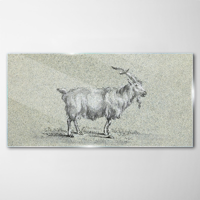 Goat on a gray paper background Glass art print