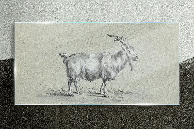 Goat on a gray paper background Glass art print