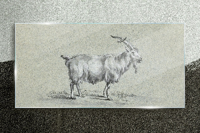 Modern animal goat Glass Print