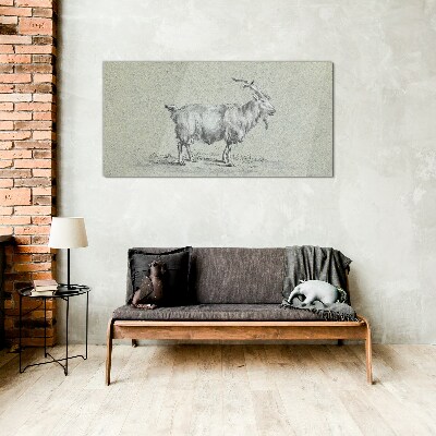 Goat on a gray paper background Glass art print