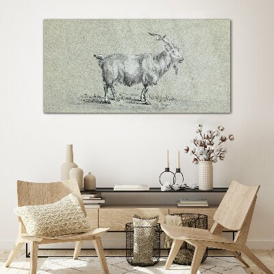 Goat on a gray paper background Glass art print