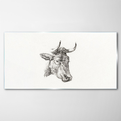Portrait of a cow on a white background Wall art on glass