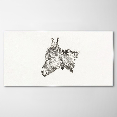 Portrait of a donkey in a monochrome style Wall art on glass
