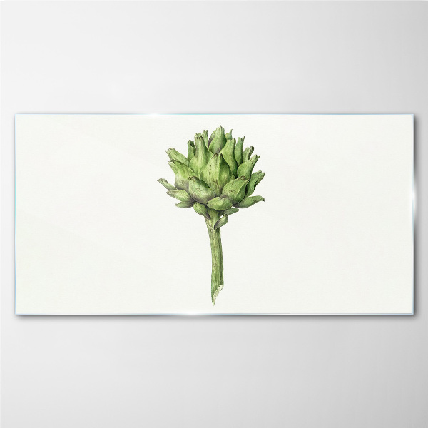 Green artichoke on white background Glass art print